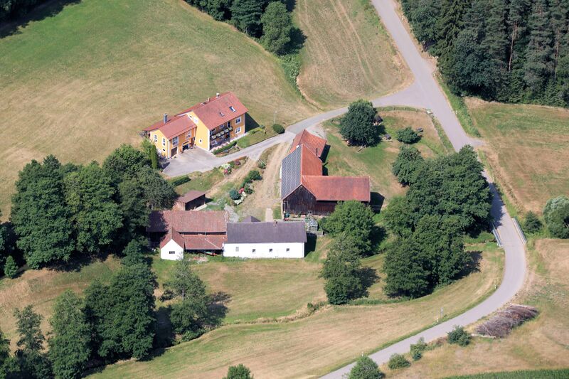 Datei:Bornmühlschleife 2019.JPG