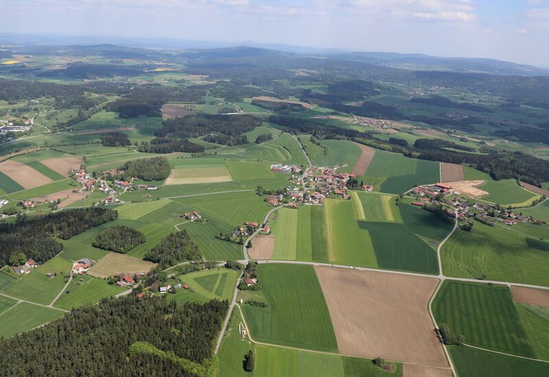 Datei:Forst Nunzenried 2024 02.jpg