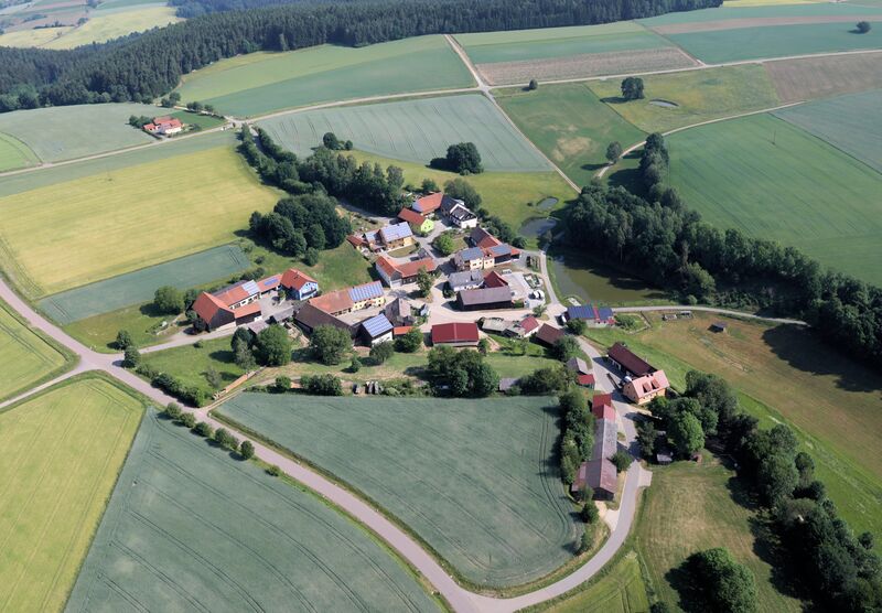 Datei:Rappenberg (Pfreimd) 2018 02.JPG