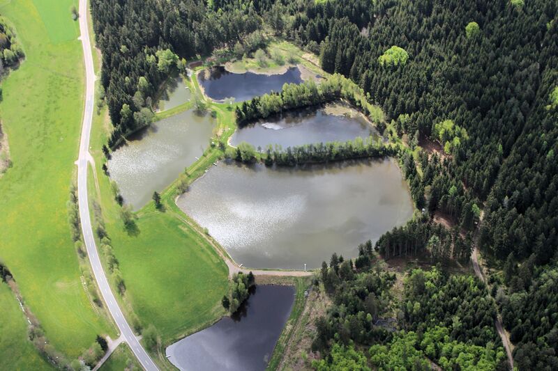 Datei:Hannamühleteich(Oberviechtach) 2015.jpg