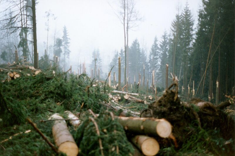 Datei:028 Lore Pfarrwald-Wutschdorf.jpg