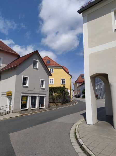 Datei:Goldener adler.jpg