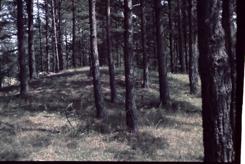 Datei:Image18.jpg