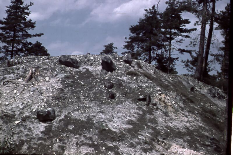 Datei:Image21.jpg