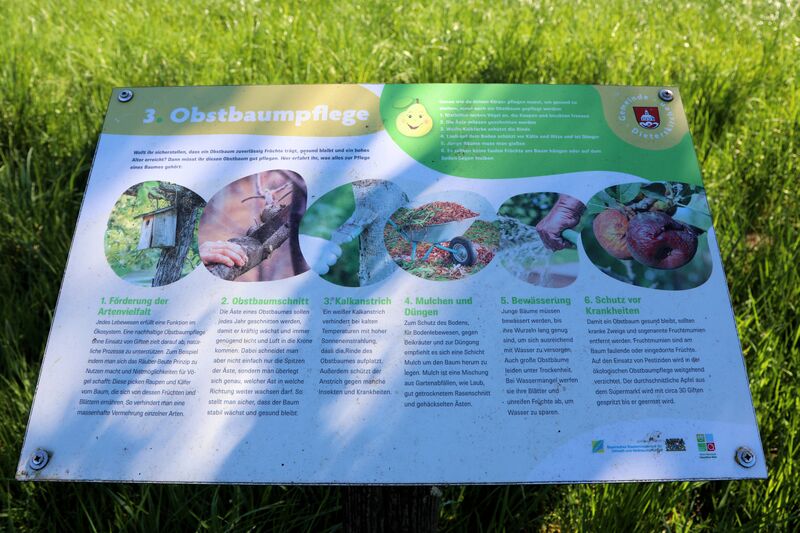 Datei:Dieterskirchen Obstlehrpfad 2026 06.jpg