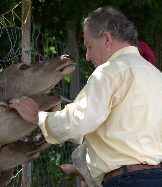 Datei:Frieser Gehege.jpg