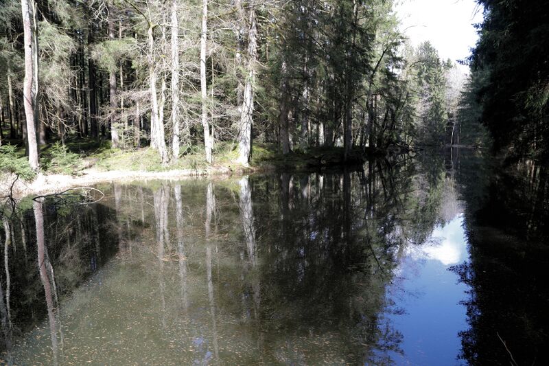 Datei:Greinerschleif (Oberviechtach) 05.jpg