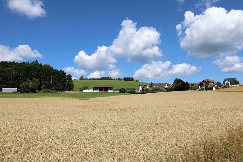 Datei:Zieglhäuser (Gleiritsch) 2025.jpg