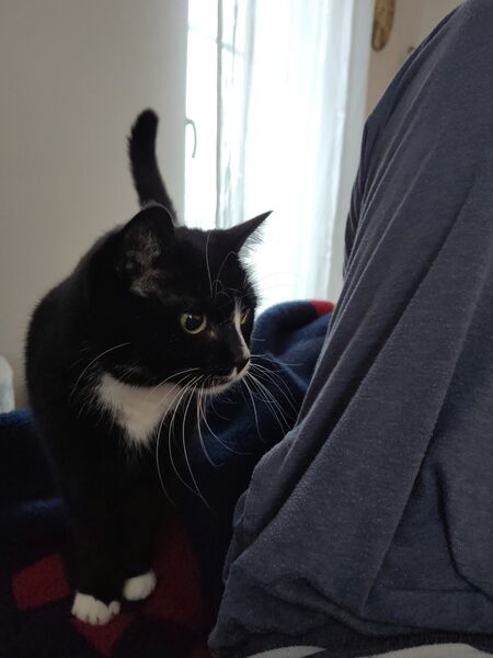 Datei:IMG 20260216 073356.jpg