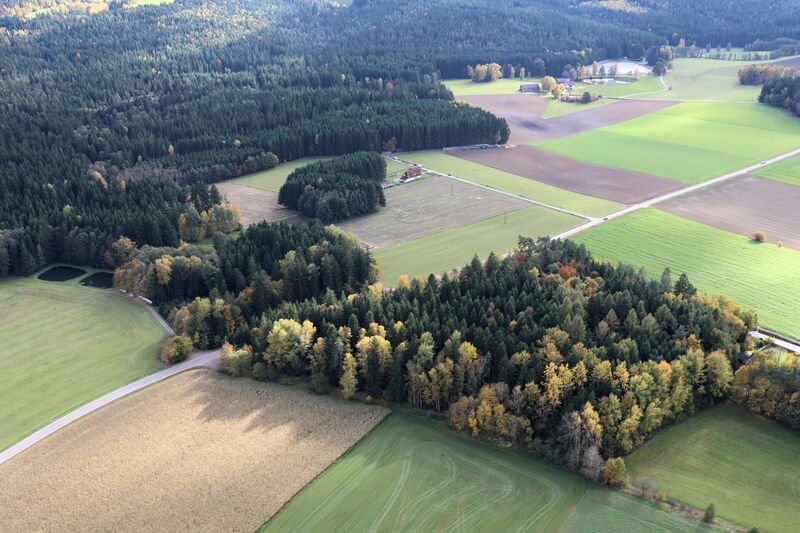 Datei:Gütting (Oberviechtach) 2025 02.jpg