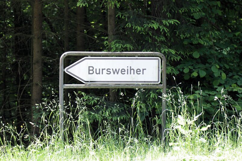 Datei:Tännesberg Bursweiher 2025 01.jpg