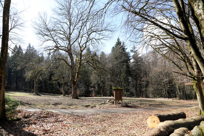 Datei:Stangenberg (Oberviechtach) 2026 01.jpg