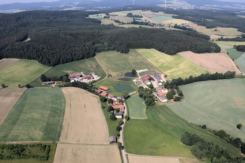 Datei:Nessating (Pfreimd) 2018.JPG