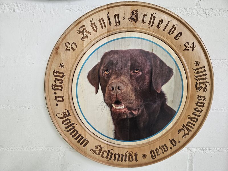 Datei:2024 Königsscheibe der FSG Amberg.jpg