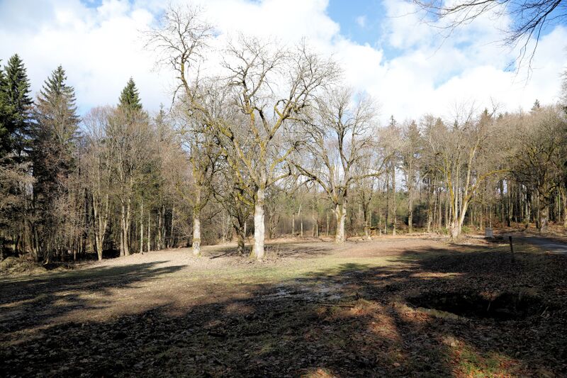 Datei:Stangenberg (Oberviechtach) 2026 03.jpg