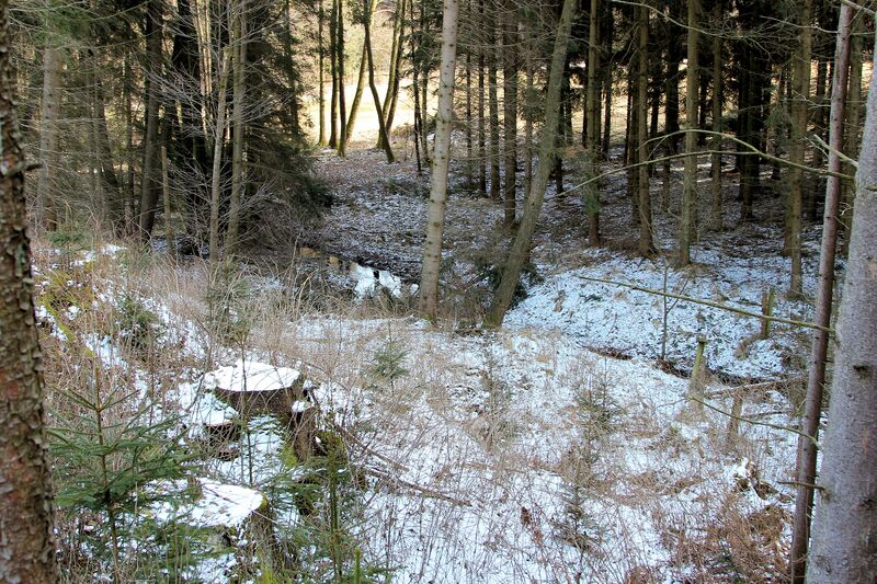 Datei:Güttingloch (Oberviechtach) 2018 01.jpg