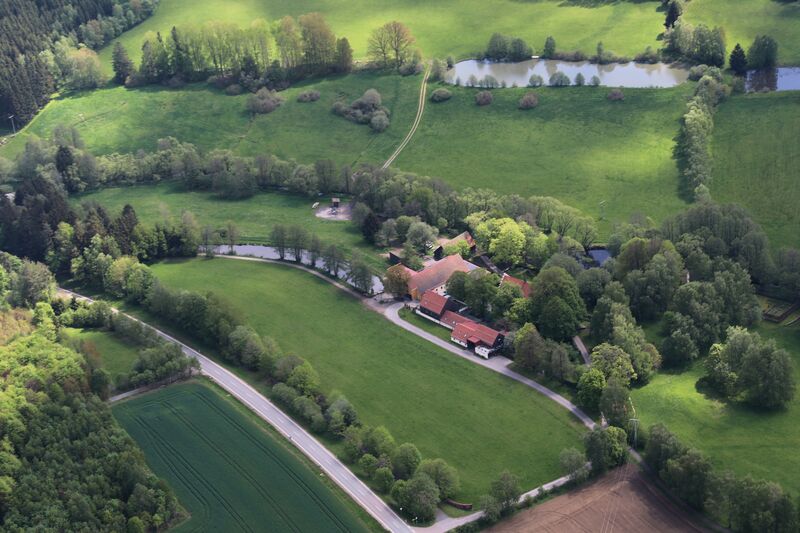 Datei:Dietersberg (Schönsee) 2024 01.jpg