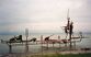Bodensee thm.jpg