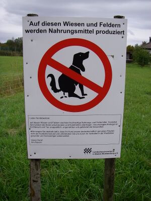Kluftern-Hundeschild.JPG