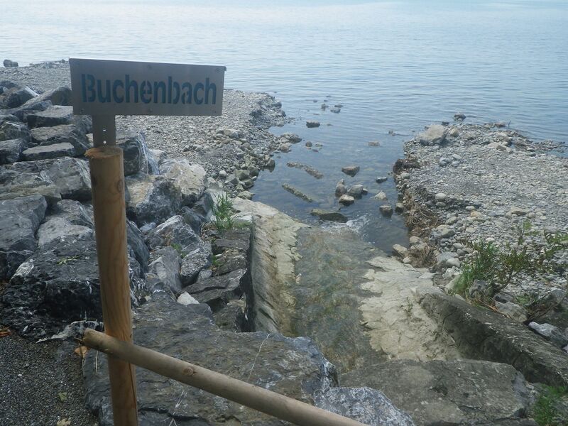 Buchenbach.JPG