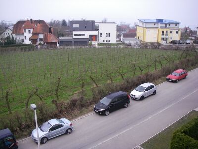 Regener - 159.JPG
