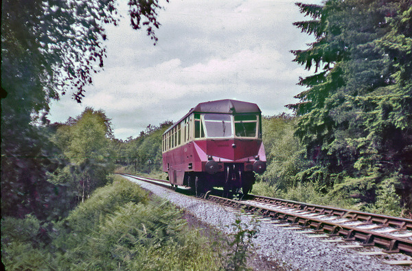 Peter Shoesmith collection