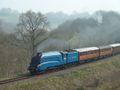 2012: 60019 Bittern [LNER 4464]