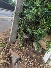 Boundary marker Hoo Road Bridge.jpg