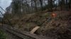Culvert 81 Paul Pearson.jpg