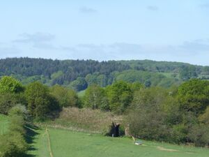 2016: Occupation underbridge on Stourport Branch