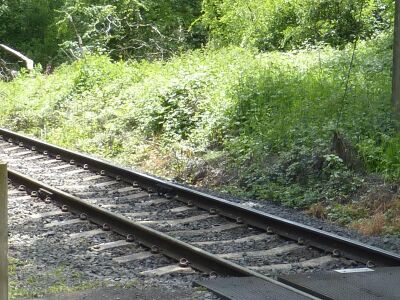 Flat-bottom rail near Country Park Halt