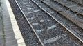 Weighbridge adjacent to Platform 1