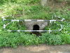 Culvert 91.JPG