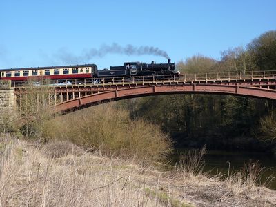 78019