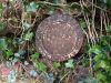 Boundary marker SO796750.jpg