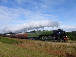 2016: 'Pacific Power' Gala guest 60163 Tornado