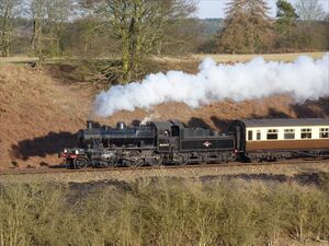2010: 46443 on Eardington Bank