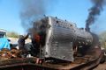 WD 314153 in use for a live steam test of 43106's boiler (K. Wilkinson)