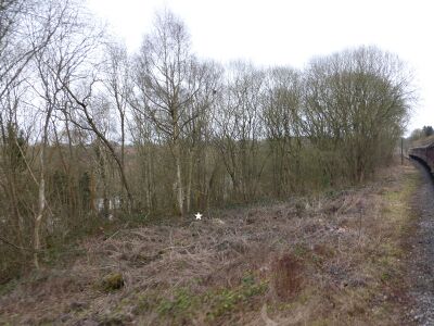 2015: Sterns displaced telegraph pole