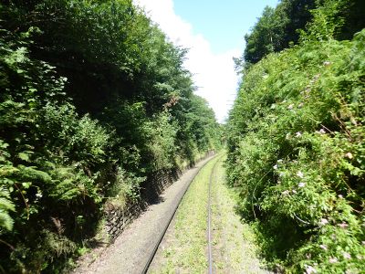 Approaching Victoria Bridge with Arley distant signal just visible