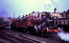 S4672 Austrian Locos.jpg