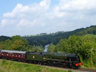 46100 Royal Scot
