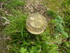 Victoria Bridge boundary marker south.JPG