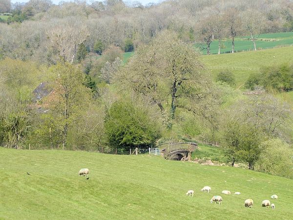 The bridge as seen from the SVR