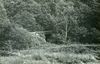 Billingsley-Line-Abandoned-1963-08-14.jpeg