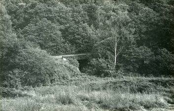 1963: Billingsley sidings, view of the disused line to Billingsley Colliery (Sellick Collection)