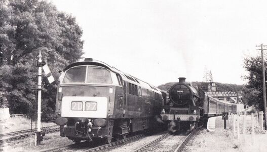 Arley, 5 August 1986. Credit: Bill Pizer / SVR News