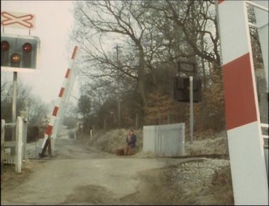Timothy at the level crossing