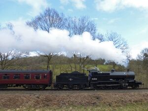 2018: Spring Gala guest 53808