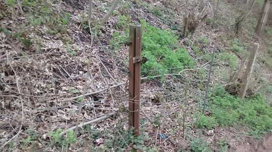 Fencepost near Northwood